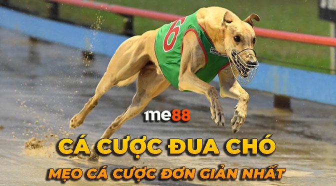 Hubet đã trúng giải thưởng lớn trong xổ số trực tuyến - Hubet