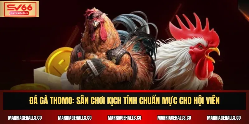 Hướng dẫn phát triển nền tảng Hitclub - Hitclub