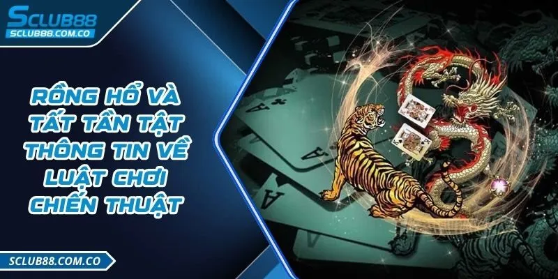Dk8 Việt Nam có giao diện hấp dẫn - Dk8