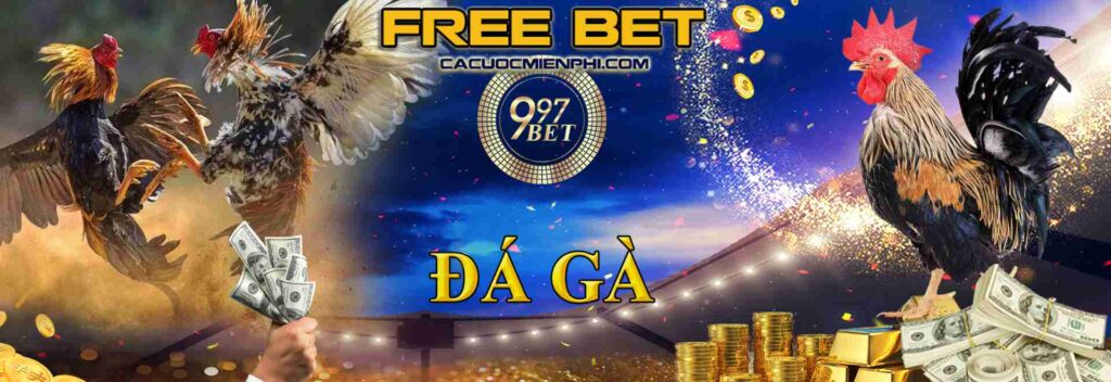 Dưới đây là các phương thức tham gia cá cược các sự kiện trực tiếp cấp độ Qh888 - Qh888