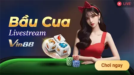 Cam kết hỗ trợ Sumvip - Sumvip
