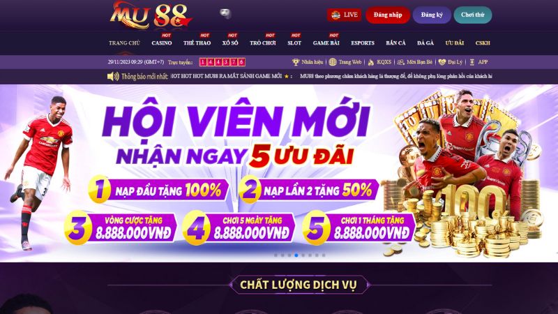 Những trò chơi nào phổ biến nhất trên các nền tảng giao dịch trò chơi thẻ bài cấp Vokbet? - Vokbet
