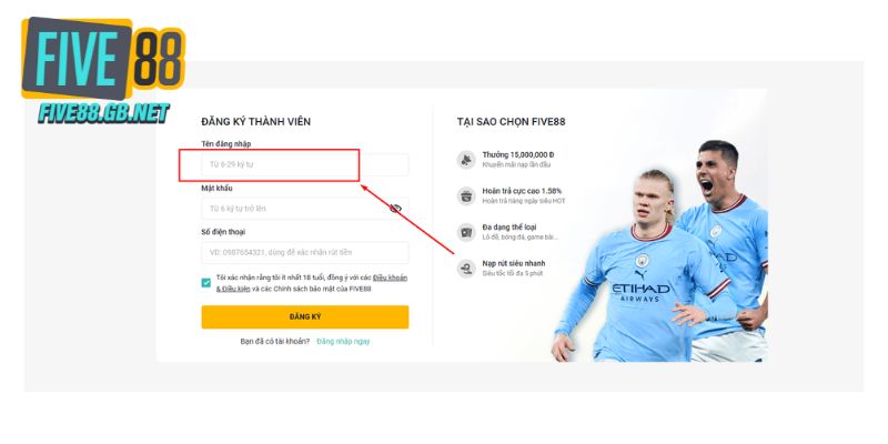Điều gì làm cho các sản phẩm 79King trở nên khác biệt? - 79King