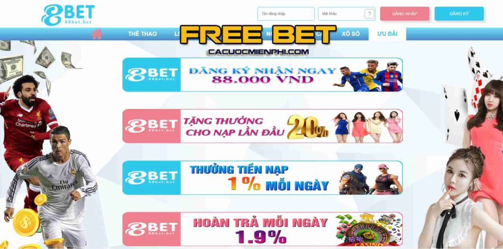 Okking có uy tín cao trong lĩnh vực trò chơi thể thao - Okking