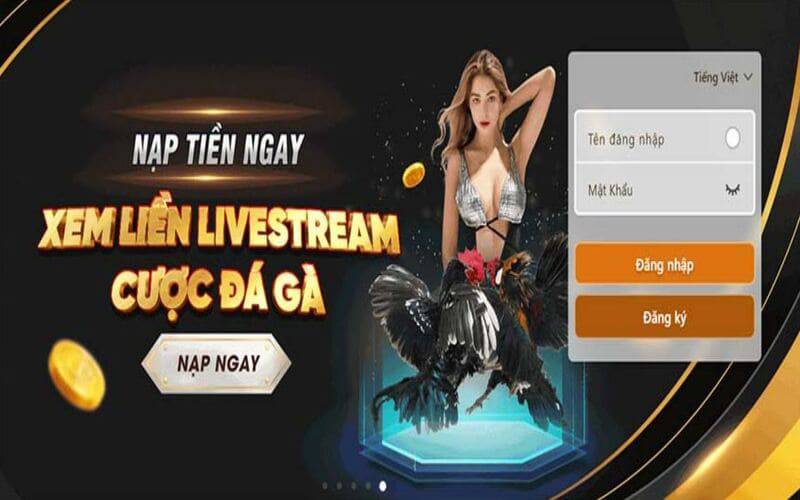 Chơi poker tại sòng bạc hạng Betvnd - Betvnd