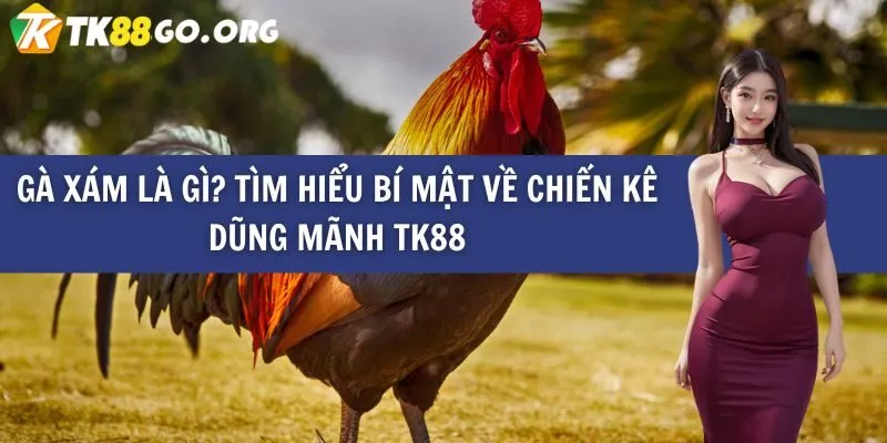 Mô tả về Chương trình Phần thưởng 50000 trên trang web Zbet68 Gaming - Zbet68