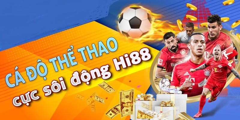 Các tính năng chính thu hút người chơi cá cược đến với các trang web cá cược 100Win - 100Win